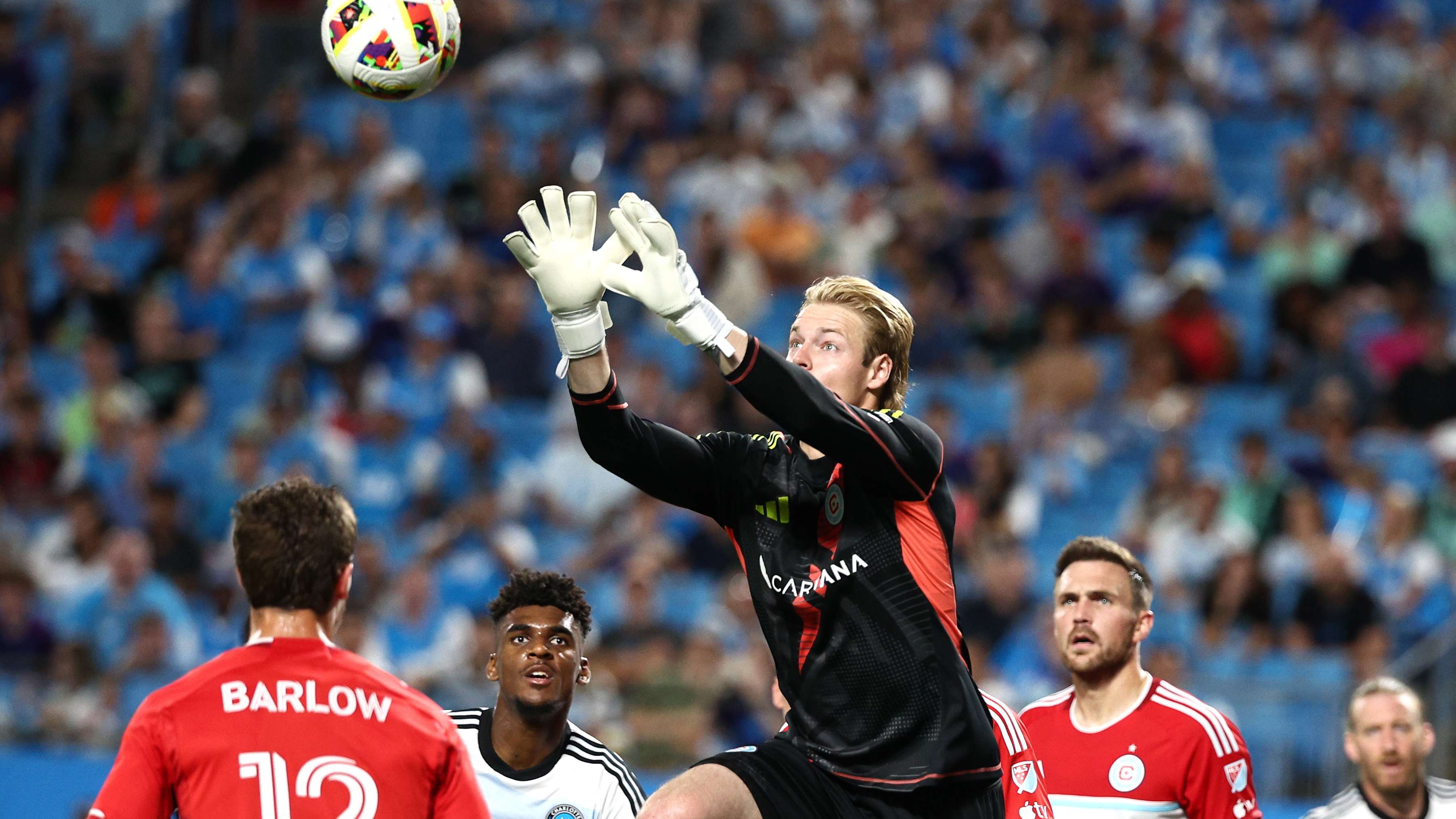 未來展望 未來展望