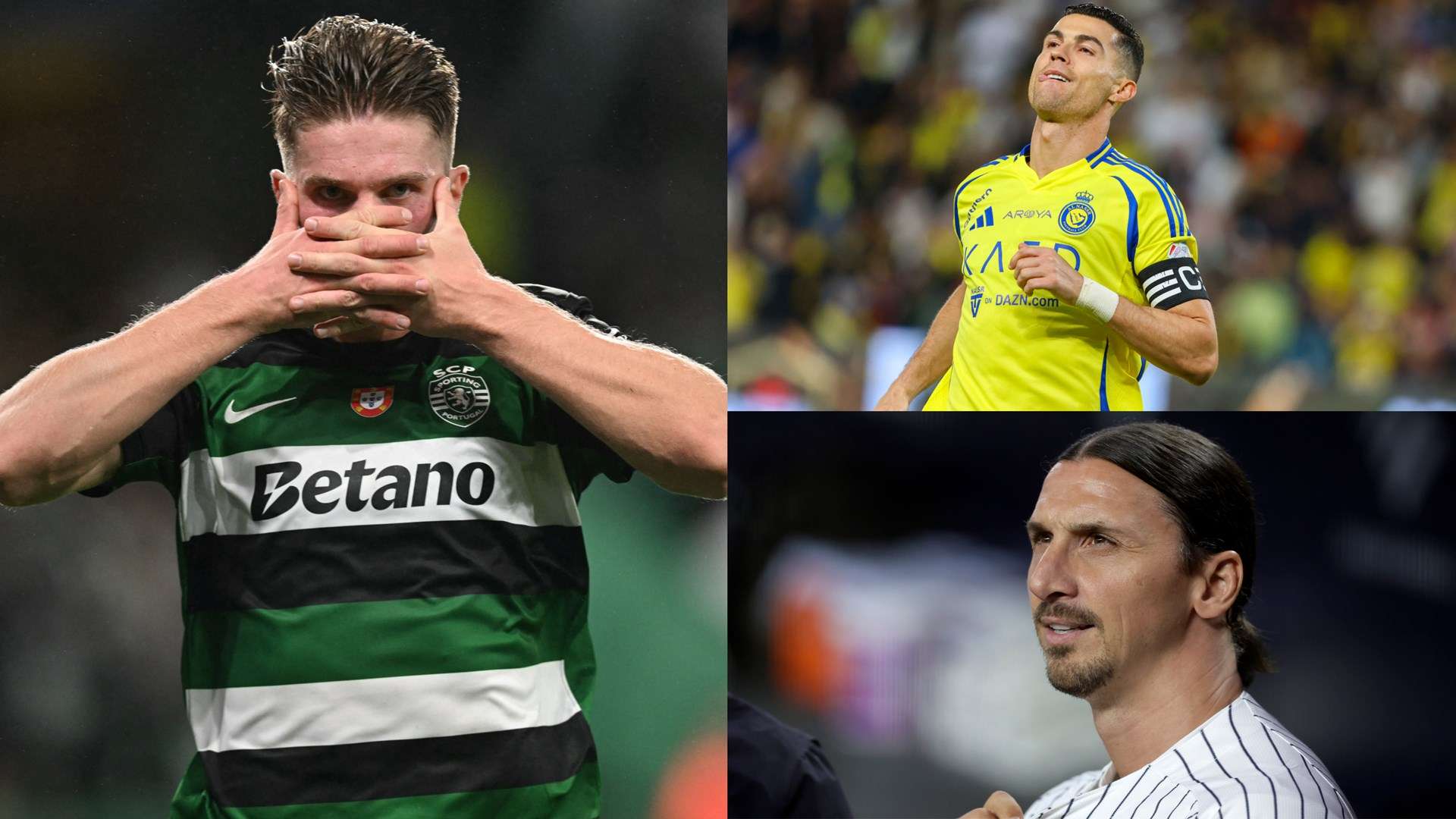 計畫採用了 計畫採用了